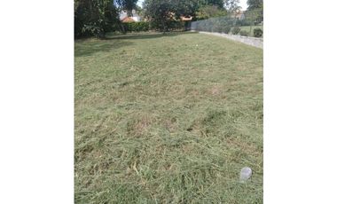TERRENO EN CORONADO