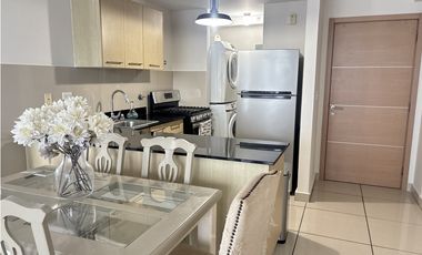 ALQUILER APARTAMENTO SAN FRANCISCO (DV)