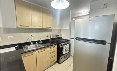 ALQUILER APARTAMENTO SAN FRANCISCO (DV)