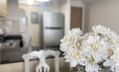 ALQUILER APARTAMENTO SAN FRANCISCO (DV)