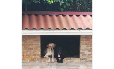 Venta de Casa en San Antonio