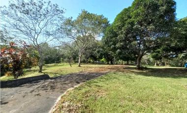 VENDO HACIENDA COLOMBIA VILLALOBO PEDREGAL USO RESIDENCIAL O COMERCIAL