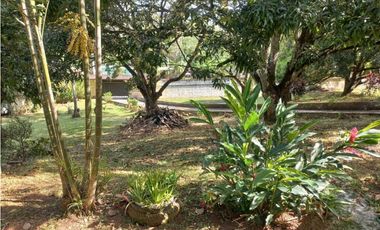 VENDO HACIENDA COLOMBIA VILLALOBO PEDREGAL USO RESIDENCIAL O COMERCIAL