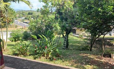 VENDO HACIENDA COLOMBIA VILLALOBO PEDREGAL USO RESIDENCIAL O COMERCIAL
