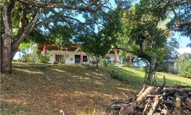 VENDO HACIENDA COLOMBIA VILLALOBO PEDREGAL USO RESIDENCIAL O COMERCIAL