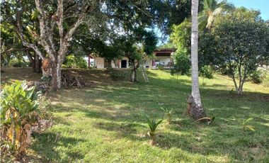 VENDO HACIENDA COLOMBIA VILLALOBO PEDREGAL USO RESIDENCIAL O COMERCIAL