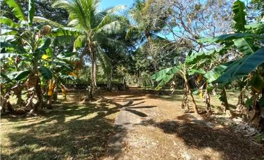 VENDO HACIENDA COLOMBIA VILLALOBO PEDREGAL USO RESIDENCIAL O COMERCIAL