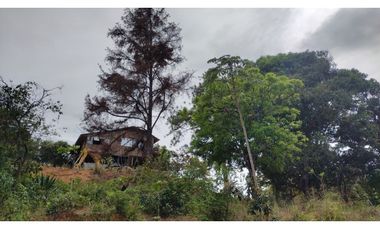 FINCA AUTO SOSTENIBLE EN VERAGUAS (CP)