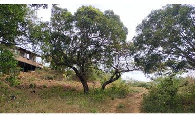 FINCA AUTO SOSTENIBLE EN VERAGUAS (CP)