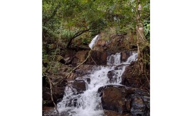 FINCA AUTO SOSTENIBLE EN VERAGUAS (CP)