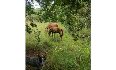 FINCA AUTO SOSTENIBLE EN VERAGUAS (CP)