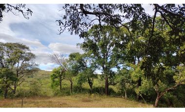 FINCA AUTO SOSTENIBLE EN VERAGUAS (CP)