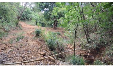 FINCA AUTO SOSTENIBLE EN VERAGUAS (CP)
