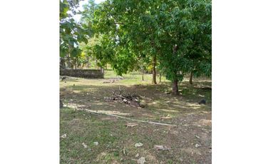 Venta de Terreno en San Carlos - San José Rodeo Viejo