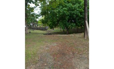 Venta de Terreno en San Carlos - San José Rodeo Viejo