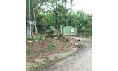 Venta de Terreno en San Carlos - San José Rodeo Viejo