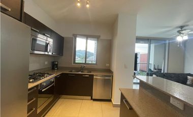 Apartamento Alquiler Ph Mosaic Amoblado