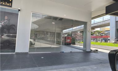 LOCAL COMERCIAL CITY PLAZA EL CRISOL PLANTA BAJA CON TERRAZA  PT