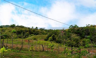EN VENTA – 2 CABAÑAS + RANCHITO EN MALENA, MARIATO - VERAGUAS