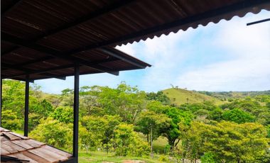EN VENTA – 2 CABAÑAS + RANCHITO EN MALENA, MARIATO - VERAGUAS