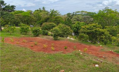 EN VENTA – 2 CABAÑAS + RANCHITO EN MALENA, MARIATO - VERAGUAS
