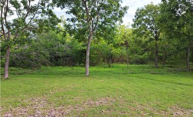 VENDO FINCA CORONADO