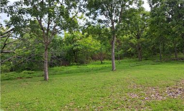 VENDO FINCA CORONADO