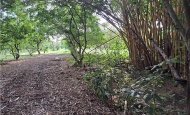 VENDO FINCA CORONADO