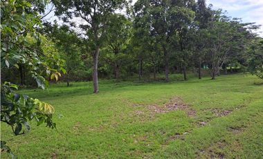 VENDO FINCA CORONADO