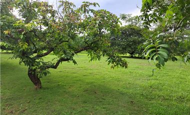 VENDO FINCA CORONADO