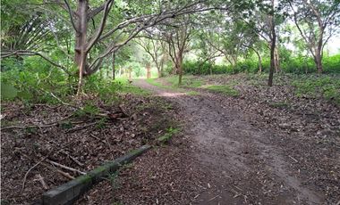 VENDO FINCA CORONADO