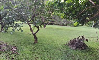 VENDO FINCA CORONADO
