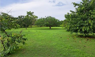 VENDO FINCA CORONADO