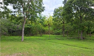 VENDO FINCA CORONADO