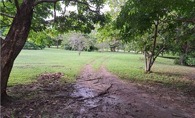 VENDO FINCA CORONADO