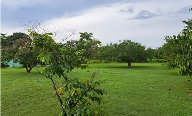 VENDO FINCA CORONADO