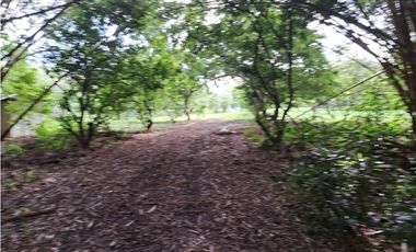 VENDO FINCA CORONADO