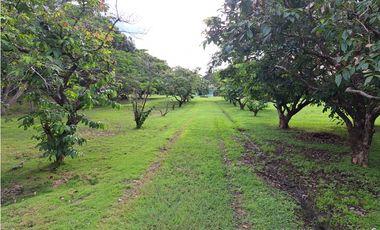 VENDO FINCA CORONADO