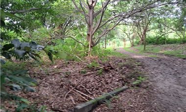 VENDO FINCA CORONADO
