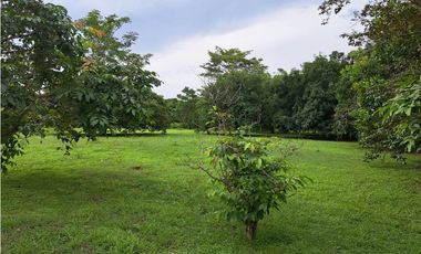VENDO FINCA CORONADO