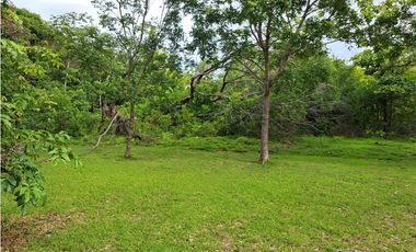 VENDO FINCA CORONADO