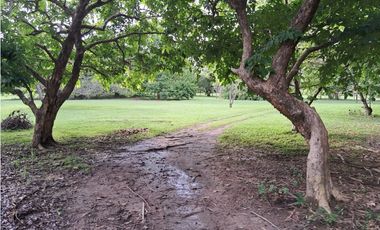 VENDO FINCA CORONADO