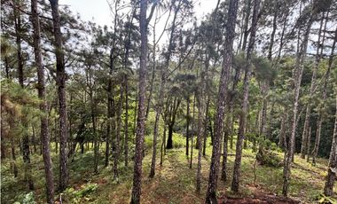 EN VENTA CASA REMODELADA EN CERRO AZUL