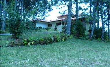 ALTOS DEL MARIA SOR CHAME PANAM OESTE