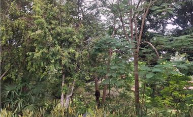 SE VENDEN CABAÑAS AMUEBLADAS - AMPLIO TERRENO - LAS UVAS, SAN CARLOS
