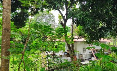 SE VENDEN CABAÑAS AMUEBLADAS - AMPLIO TERRENO - LAS UVAS, SAN CARLOS