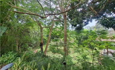 SE VENDEN CABAÑAS AMUEBLADAS - AMPLIO TERRENO - LAS UVAS, SAN CARLOS