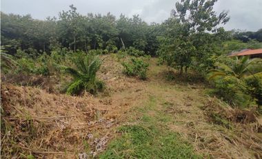 Terreno Campestre - Villa del Carmen, Capira. (CP)