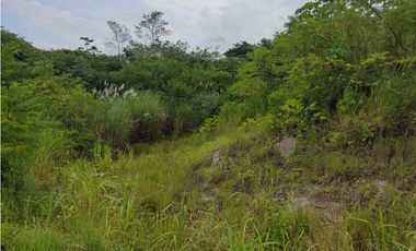 Terreno Campestre - Villa del Carmen, Capira. (CP)