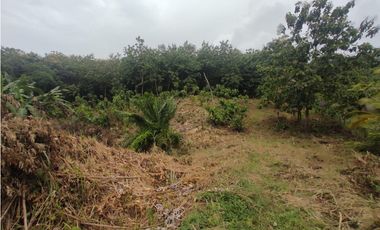 Terreno Campestre - Villa del Carmen, Capira. (CP)